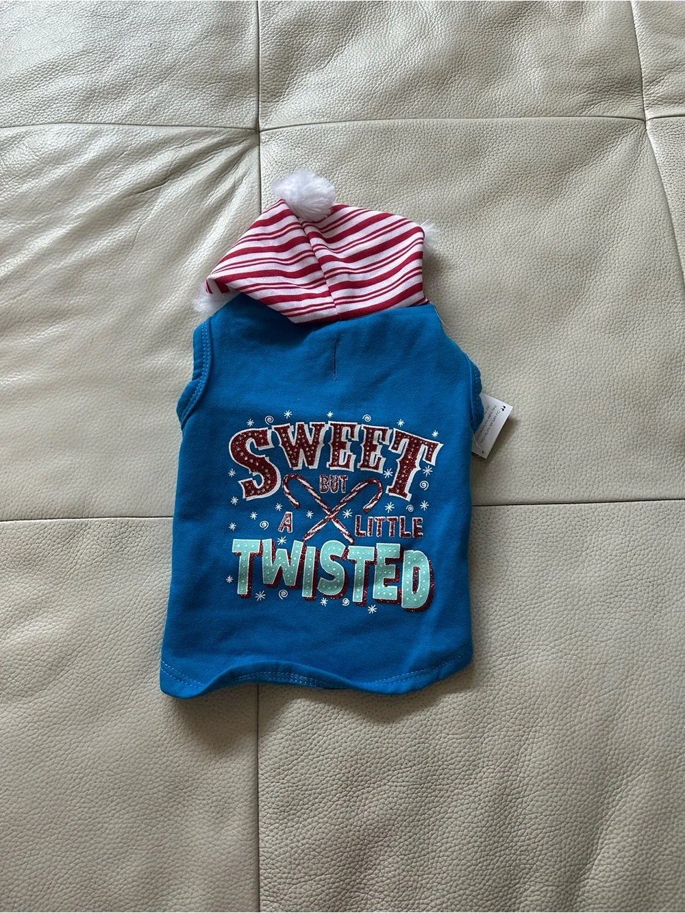 Sweet But A Little Twisted Blue Hooded Dog Holiday Apparel, Size S